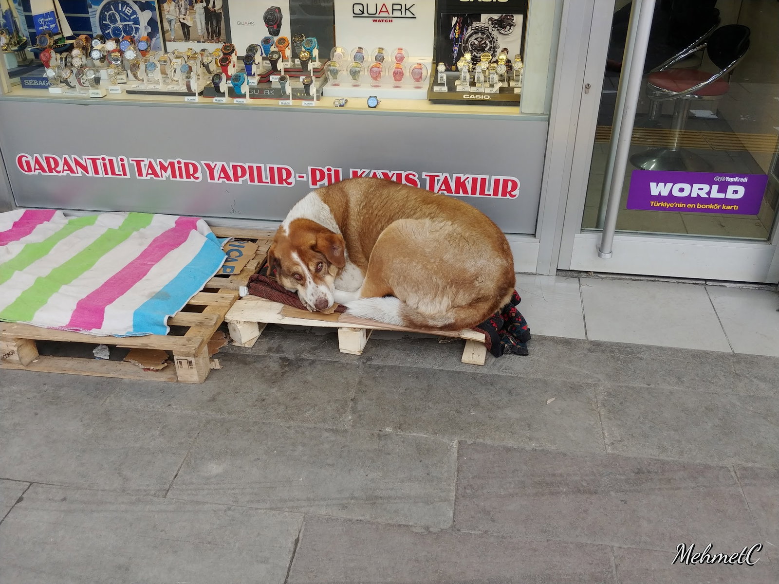 Oskar Pastanesi Etlik