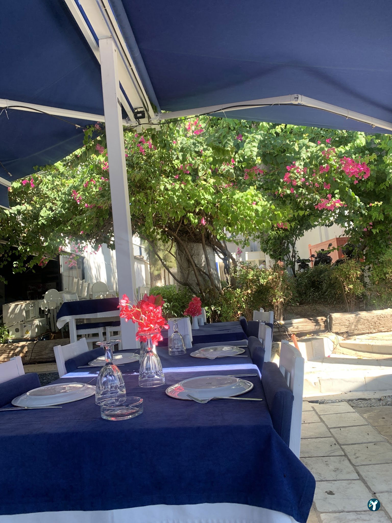 Palmiye Restaurant