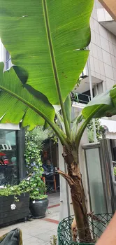 La Vie Cafe - Teşvikiye resimleri La Vie Cafe - Teşvikiye resimleri