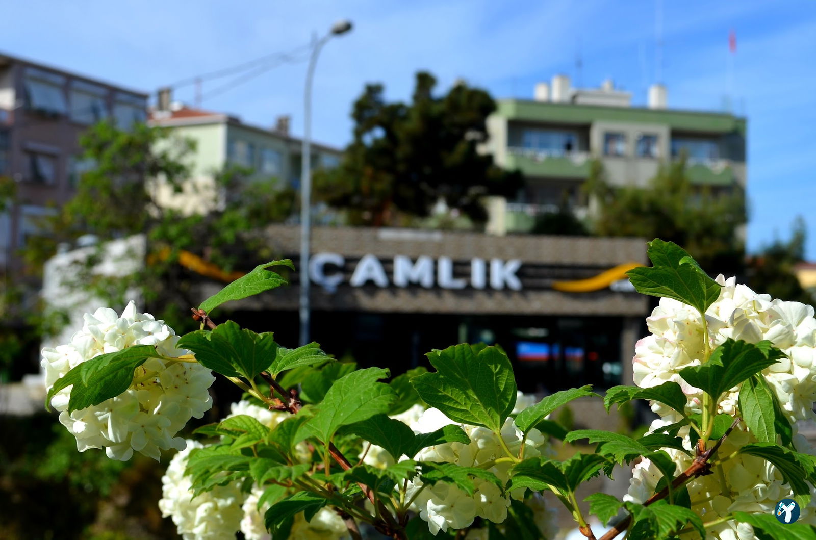 Summerhouse Cafe