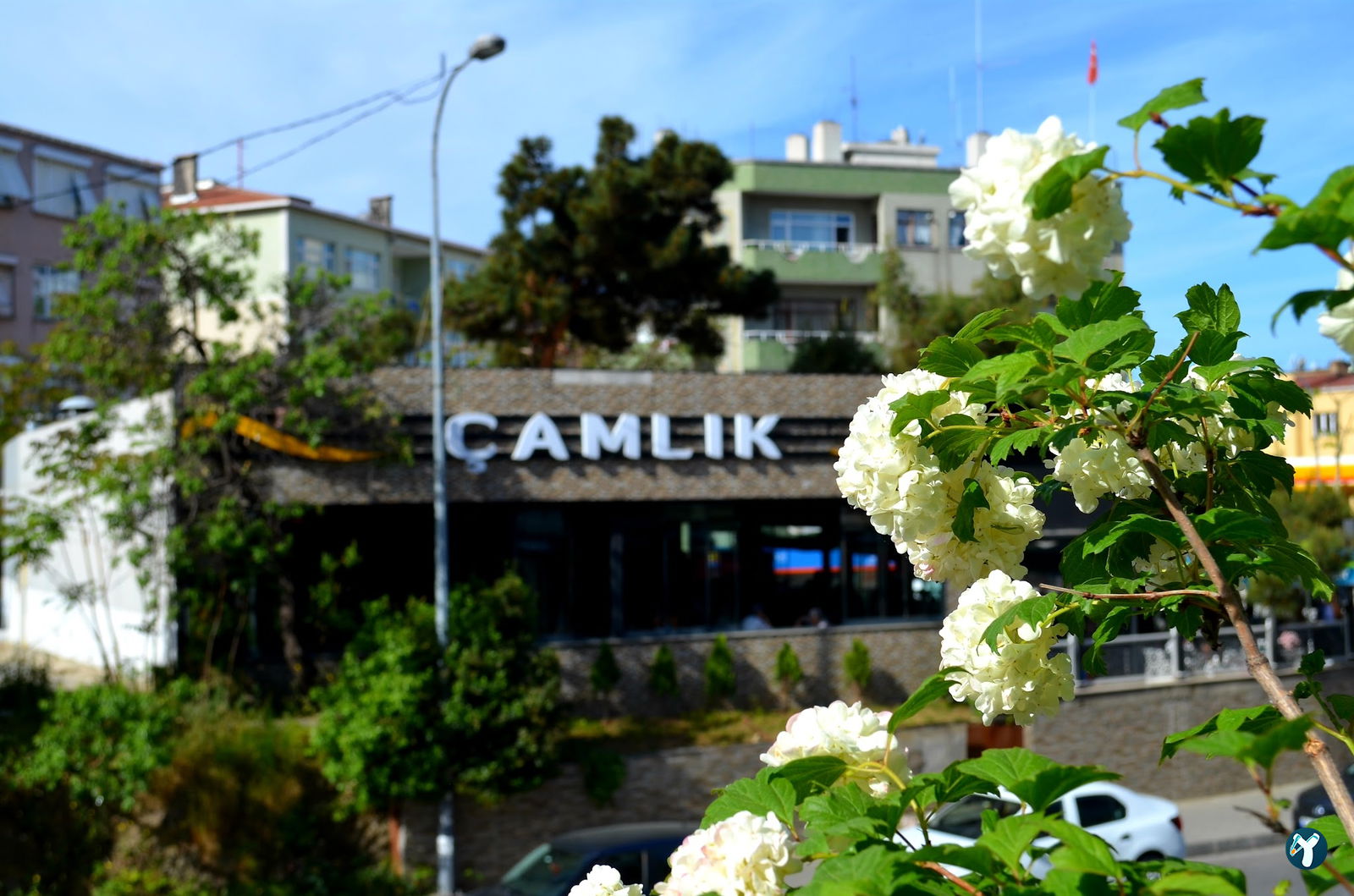 Summerhouse Cafe