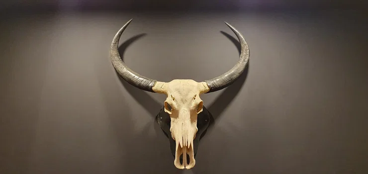 Şevk-Et Steakhouse resimleri