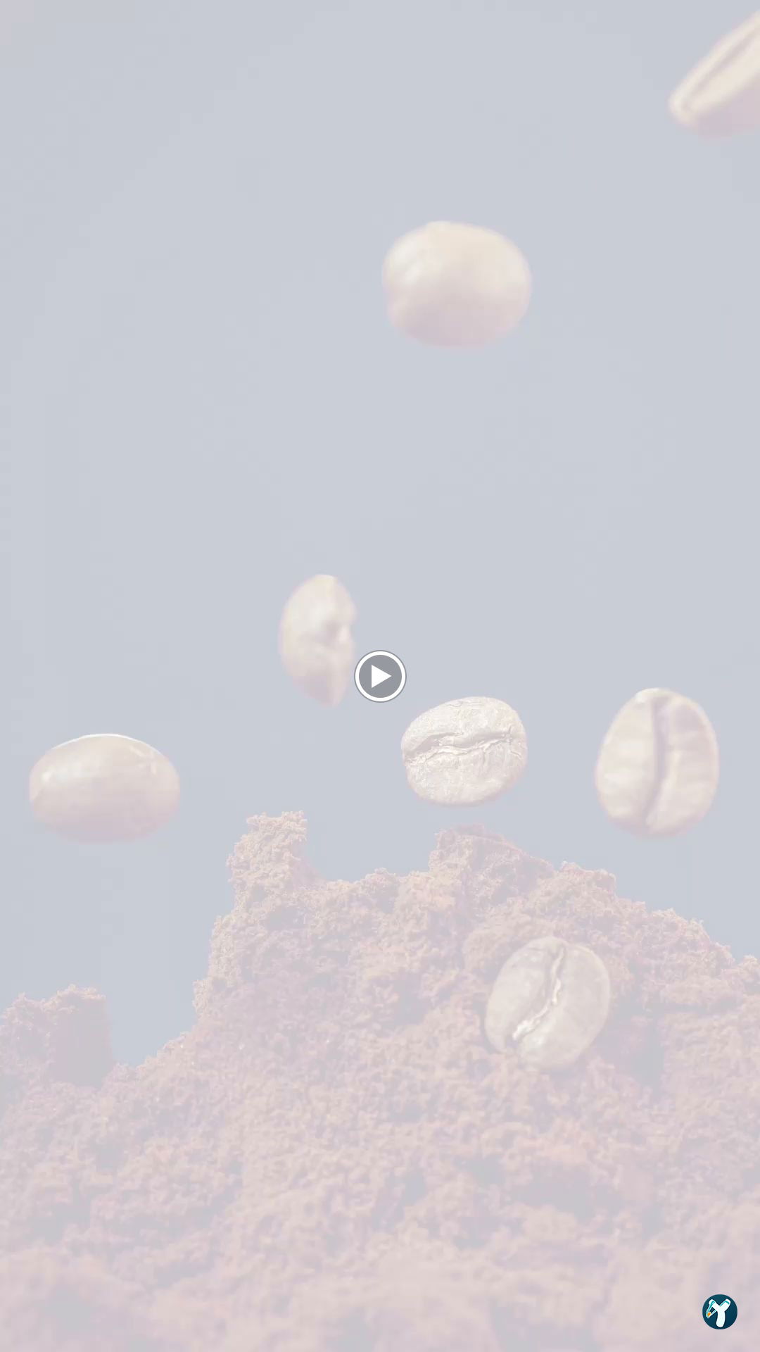 Caft Coffee Roastery (Akbati)