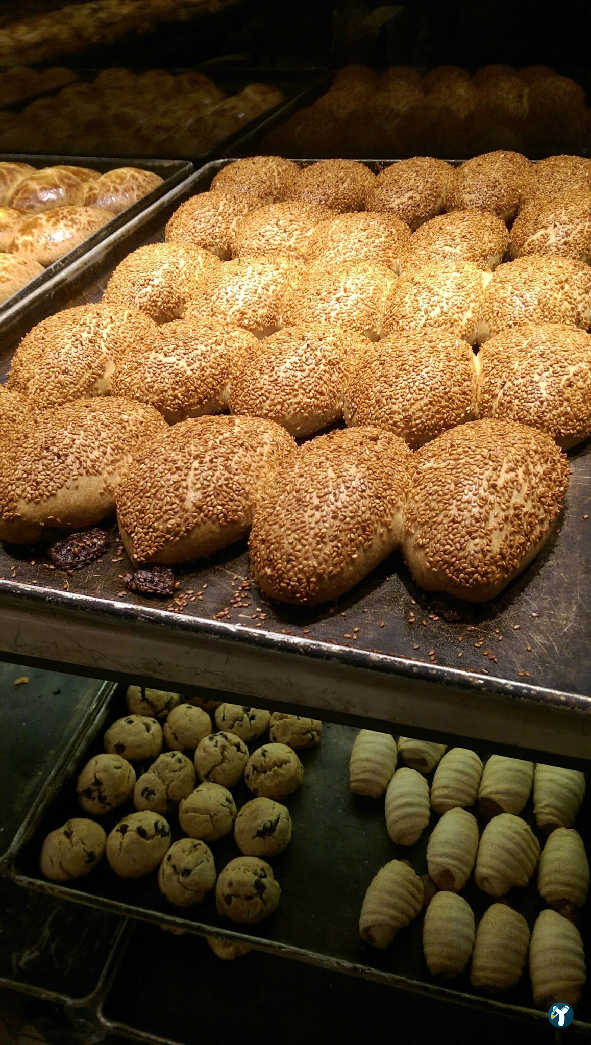 Kovan Firin
