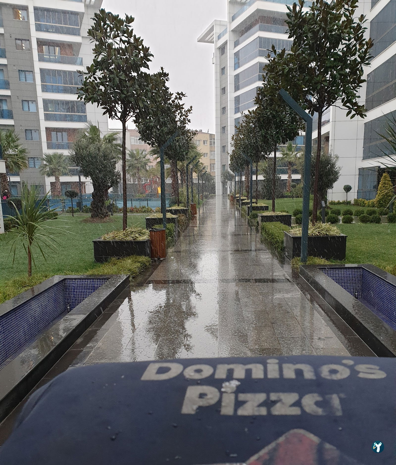 Domino'S Pizza