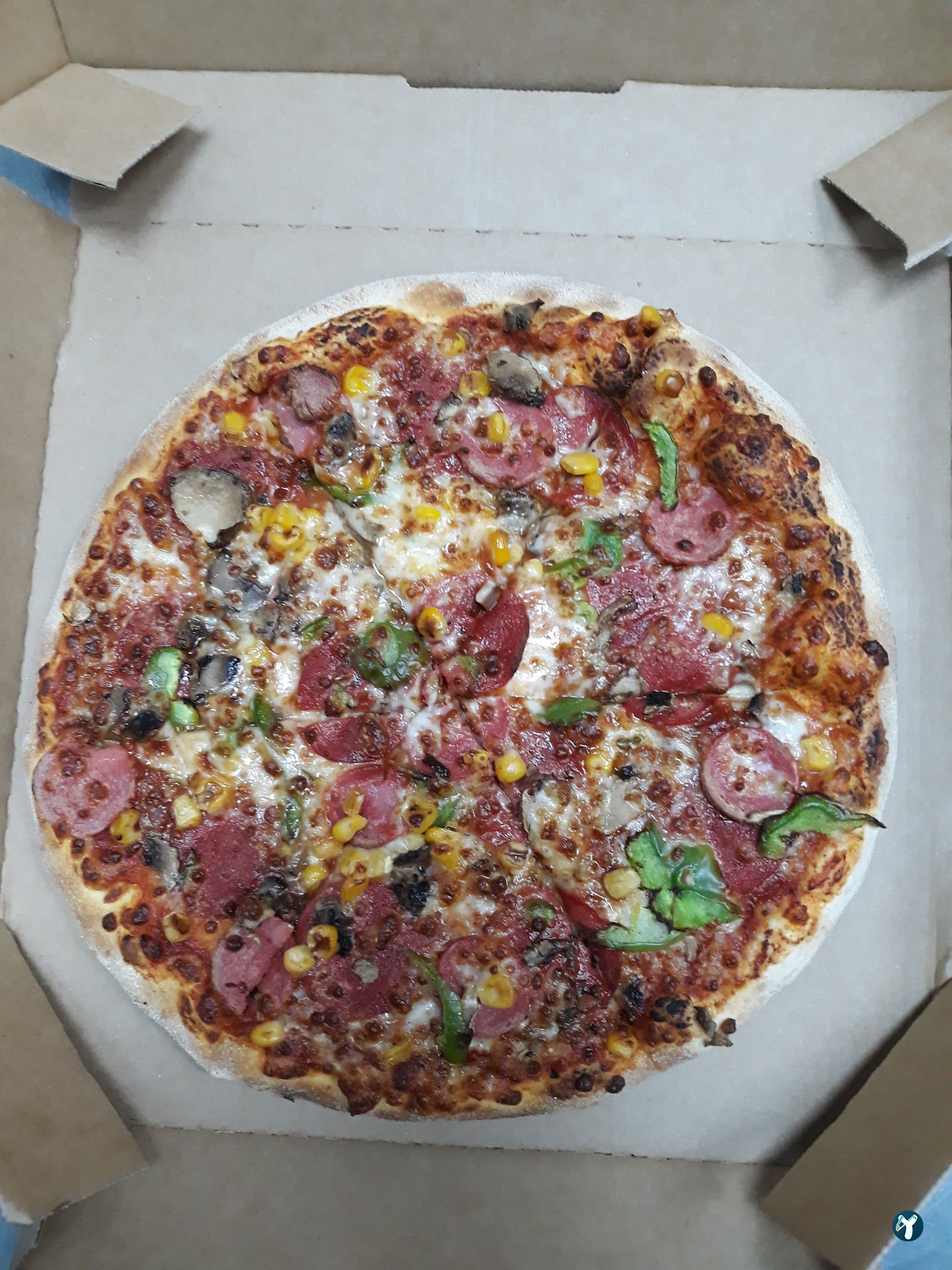 Domino'S Pizza