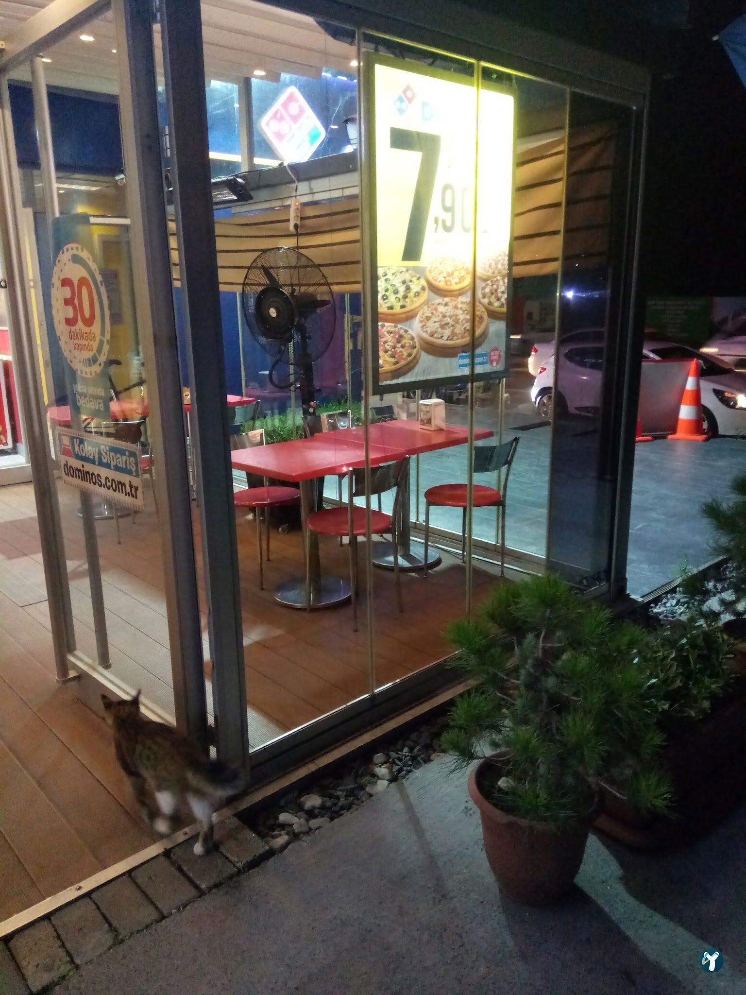 Domino'S Pizza