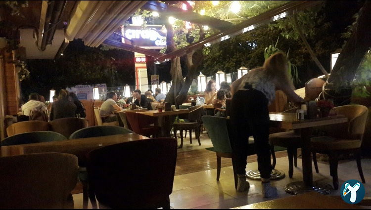 Ciragan Cafe