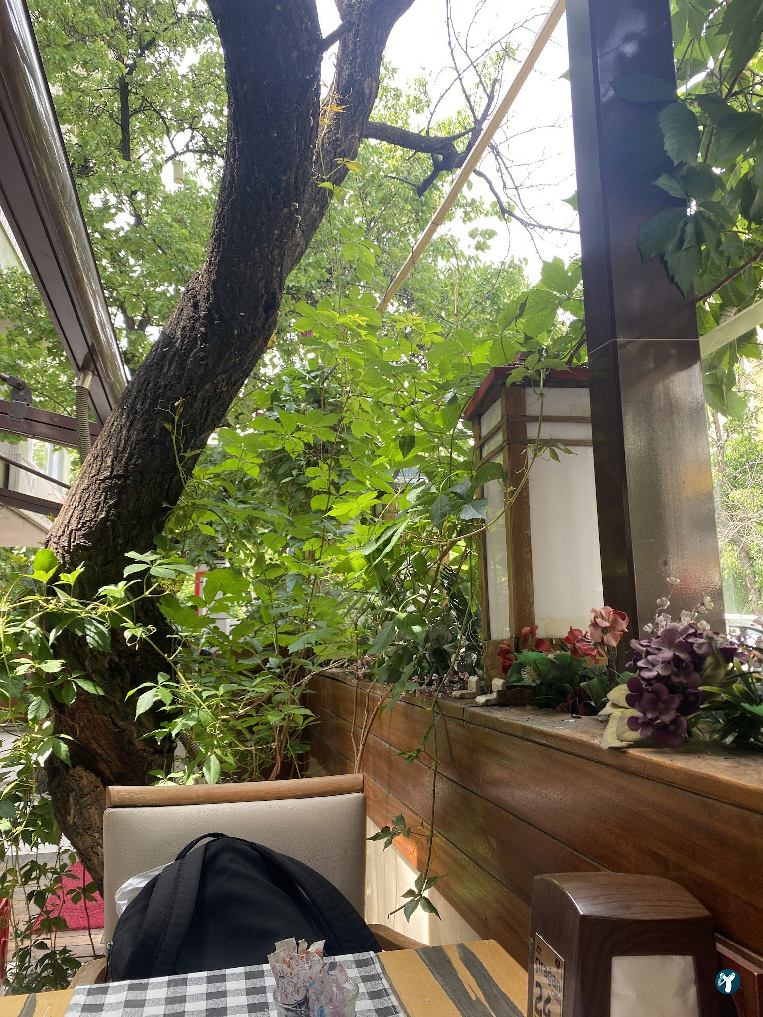 Ciragan Cafe
