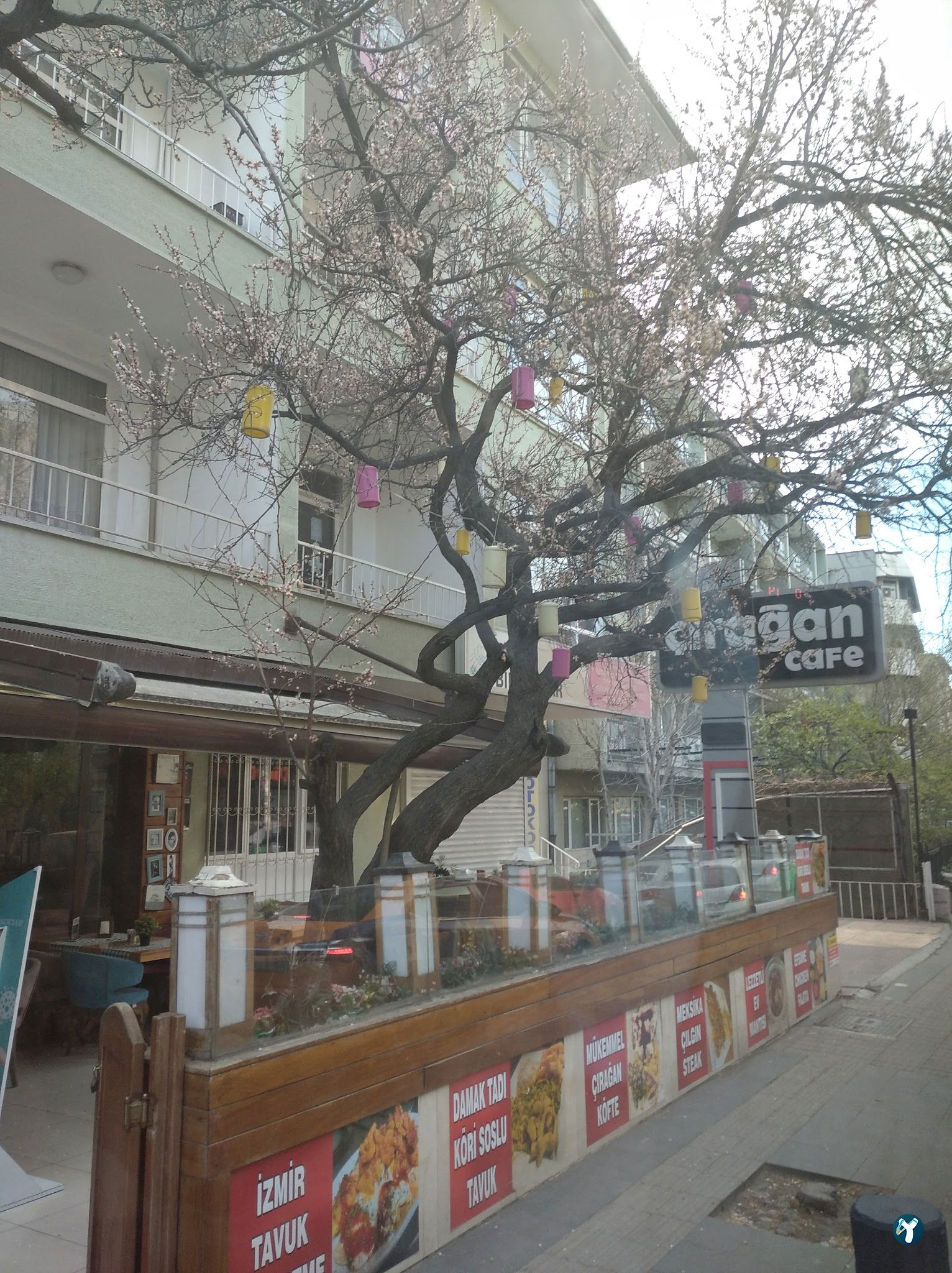 Ciragan Cafe