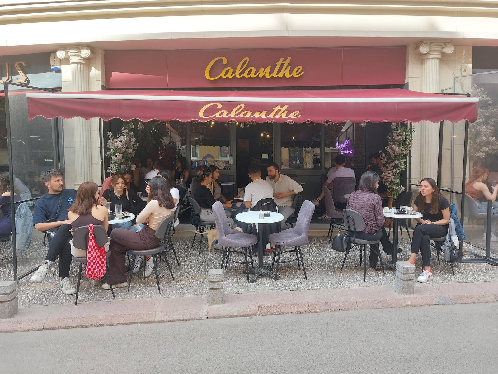 Calanthe Cafe