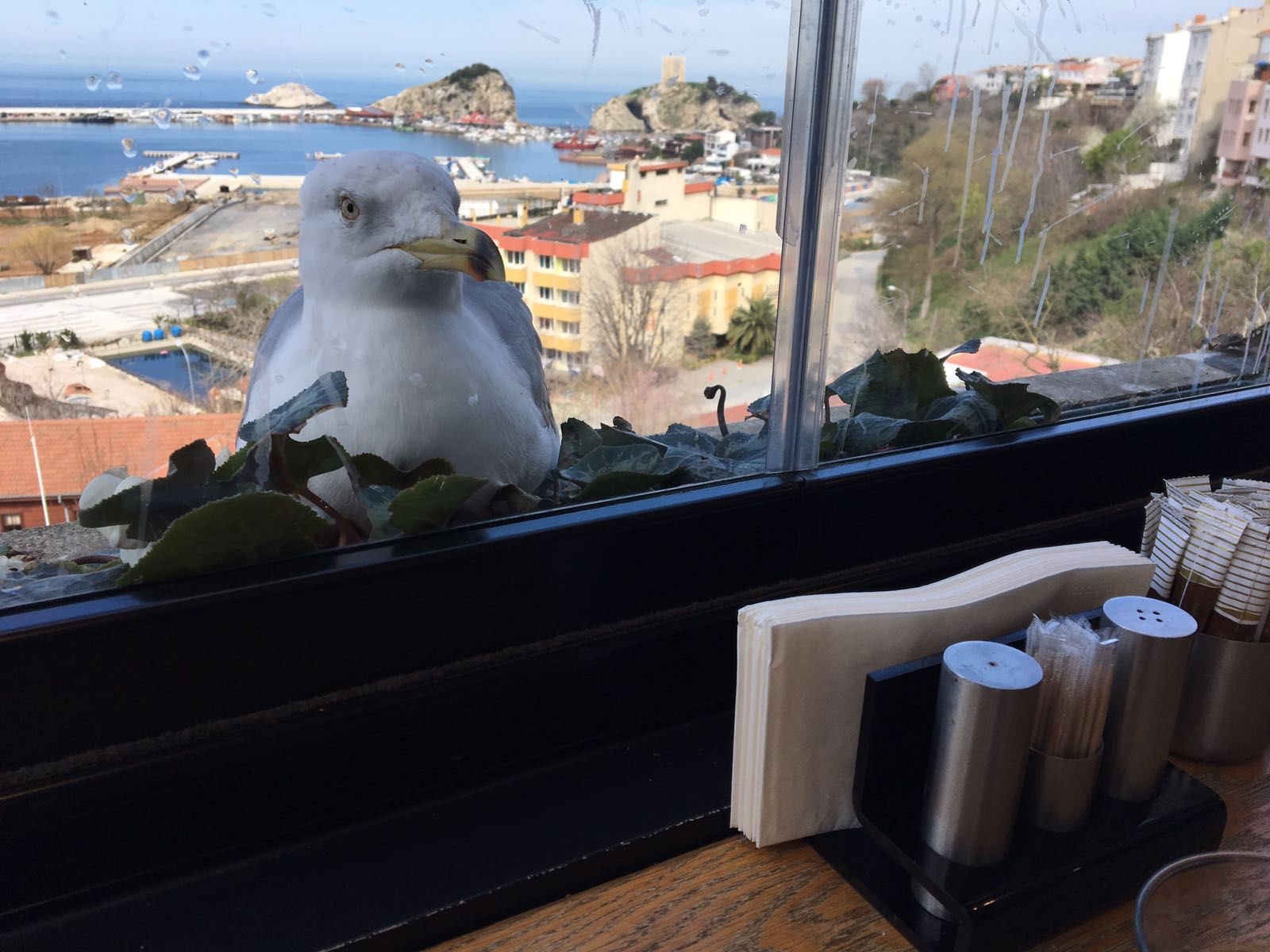 Bi̇li̇r Pastry Shop