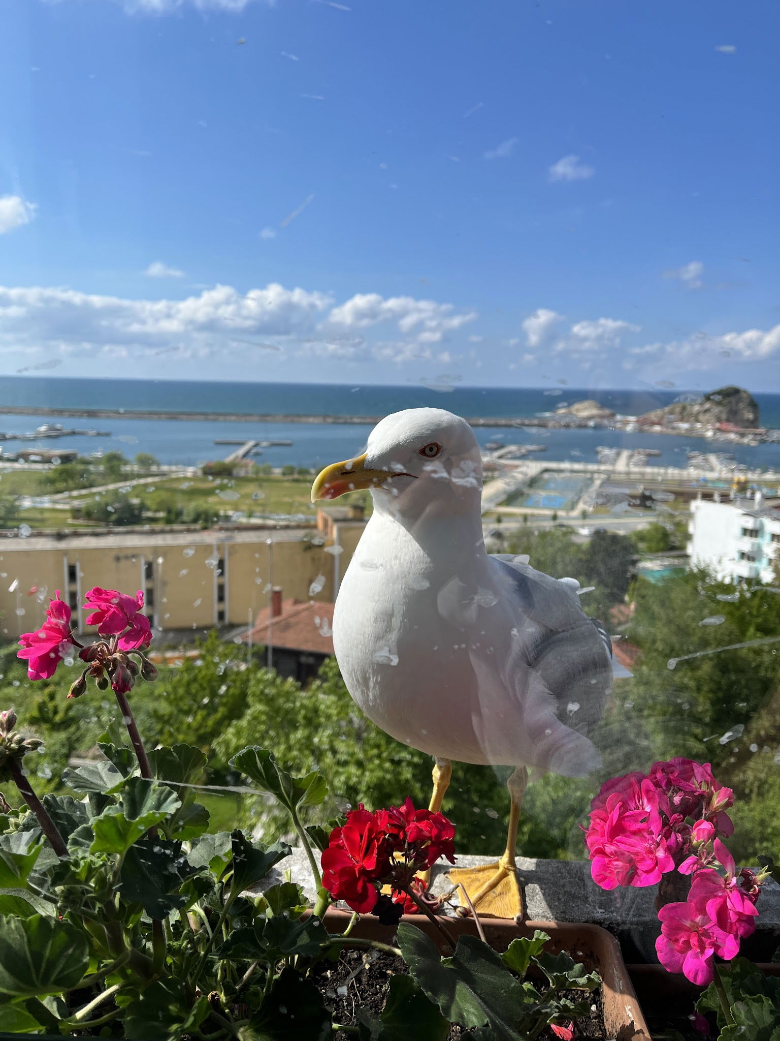 Bi̇li̇r Pastry Shop