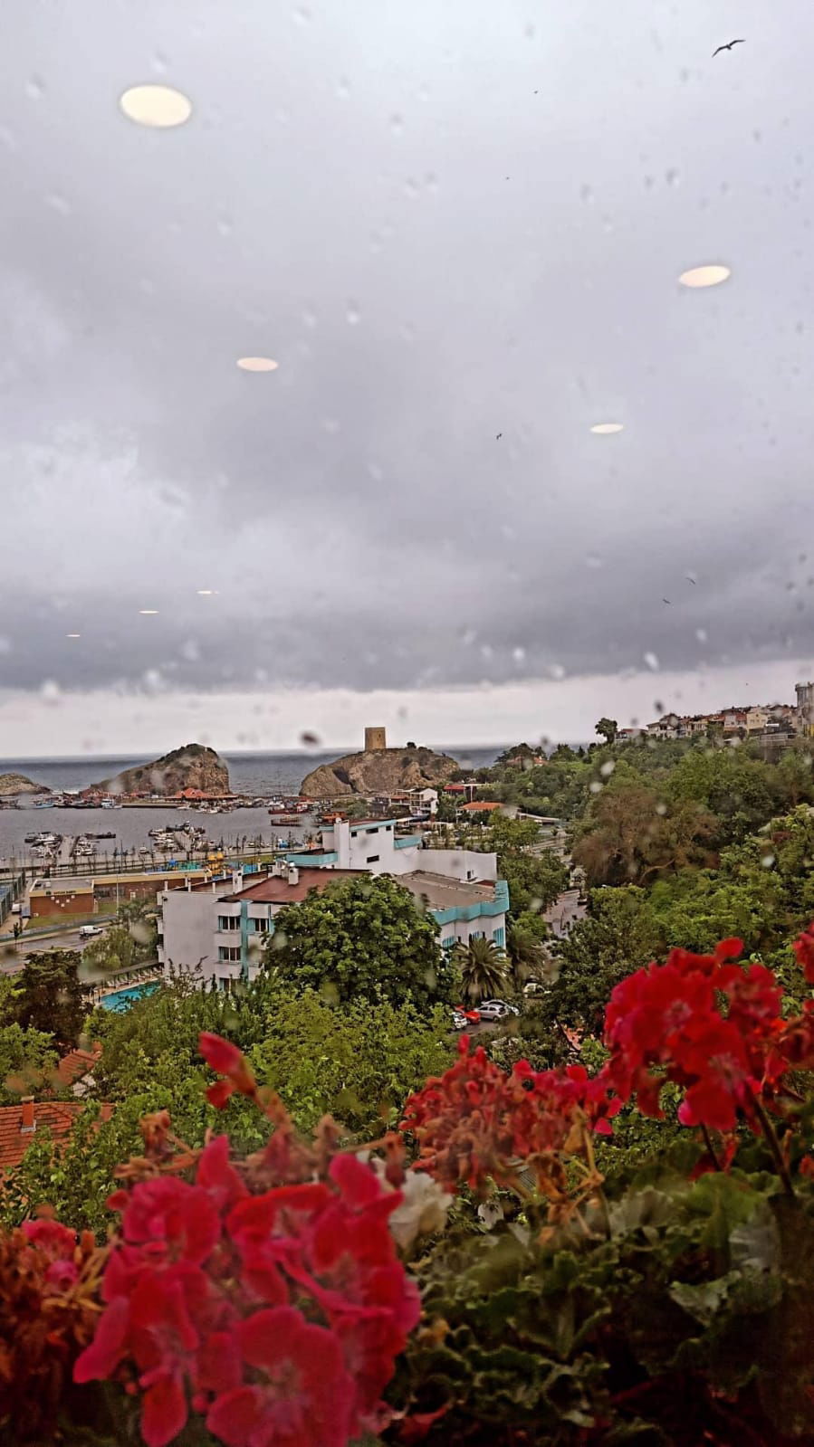 Bi̇li̇r Pastry Shop