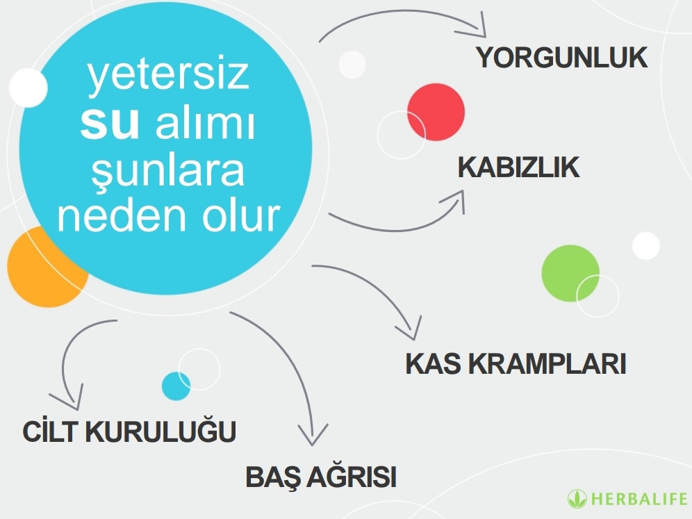 Avcılar Yeşil Dünya Beslenme Kulübü 1