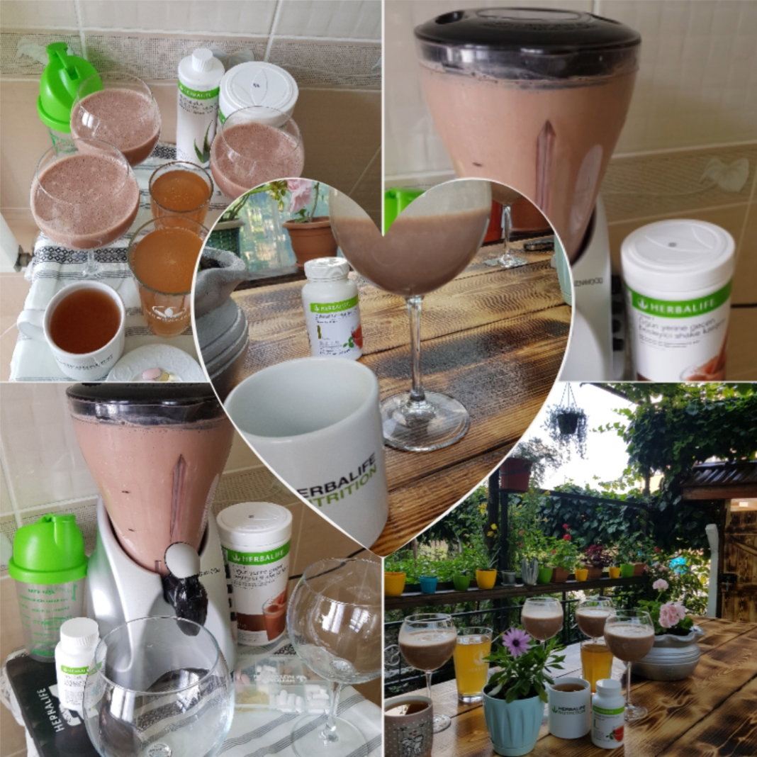 Avcılar Yeşil Dünya Beslenme Kulübü 1