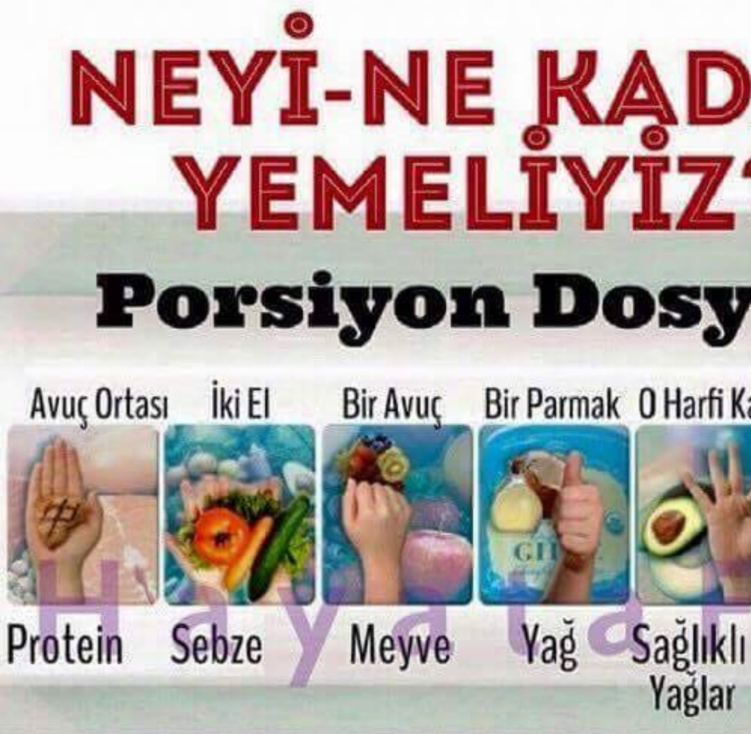 Avcılar Yeşil Dünya Beslenme Kulübü 1