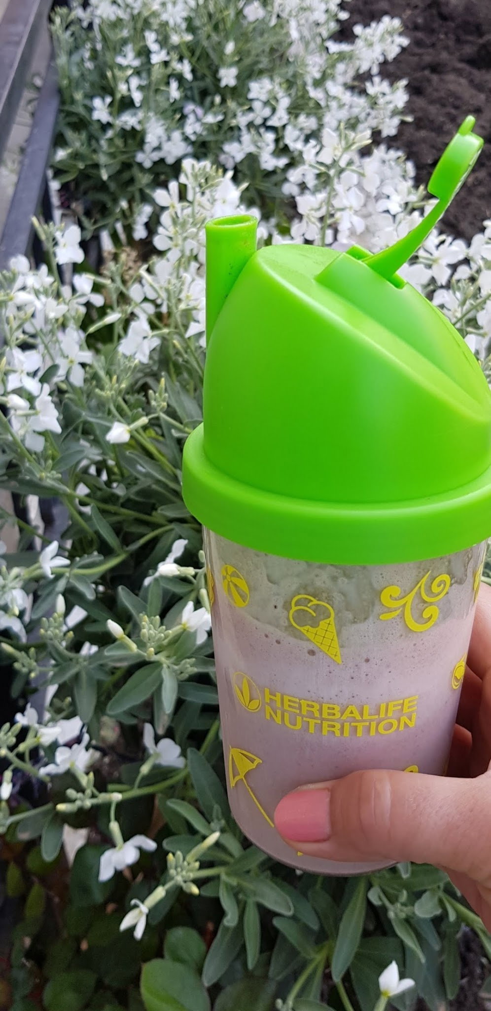 Avcılar Yeşil Dünya Beslenme Kulübü 1