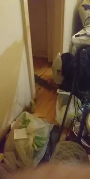 Demetevler Mahallesi, 357. Caddesi 11/D, Yenimahalle/Ankara resimleri