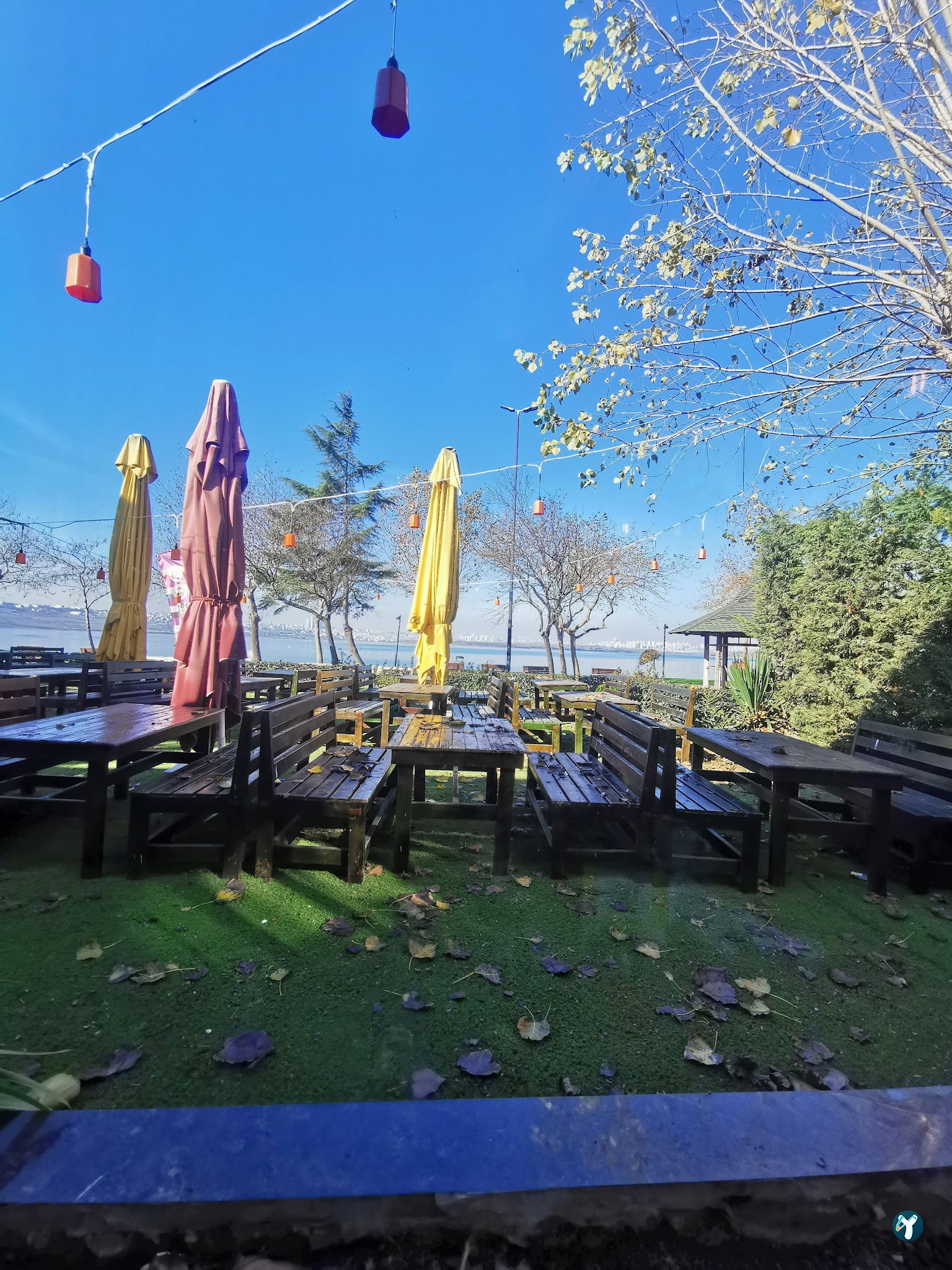 Mimossa Cafe