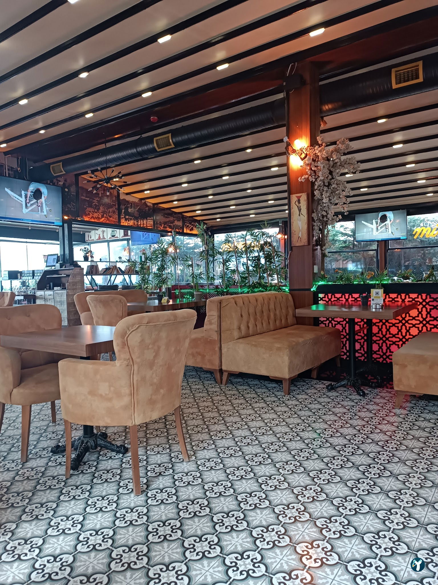 Mimossa Cafe