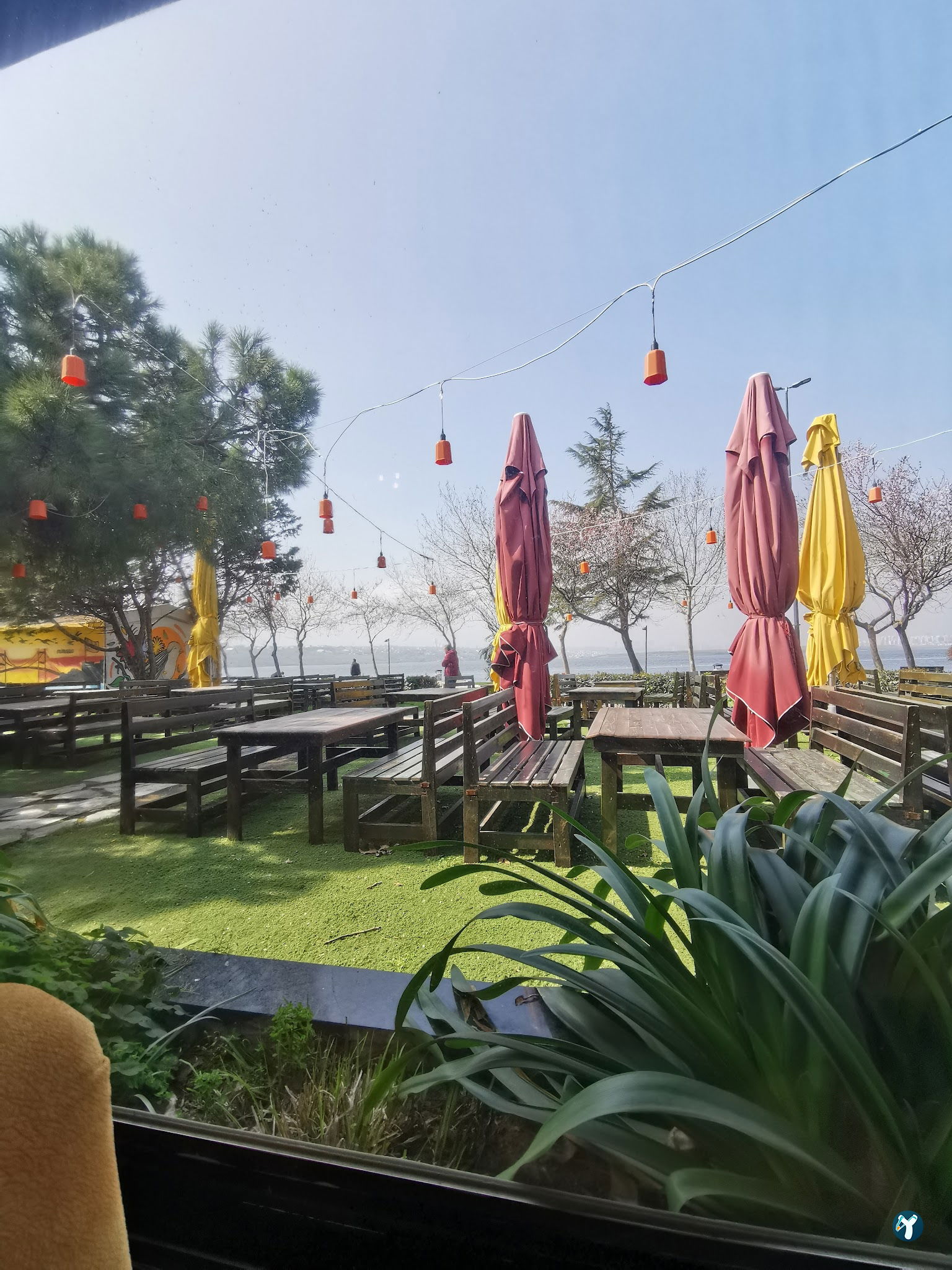 Mimossa Cafe