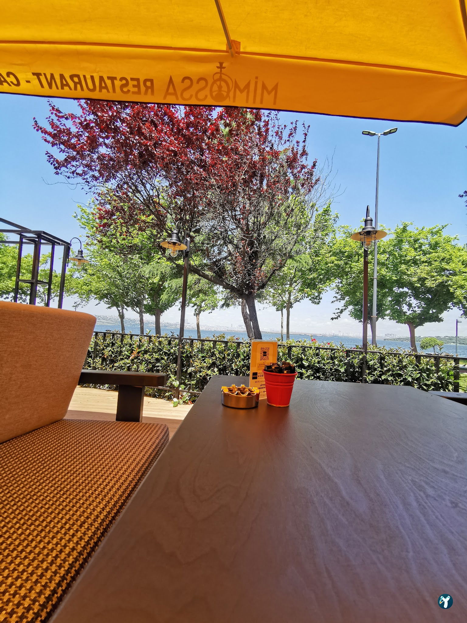 Mimossa Cafe