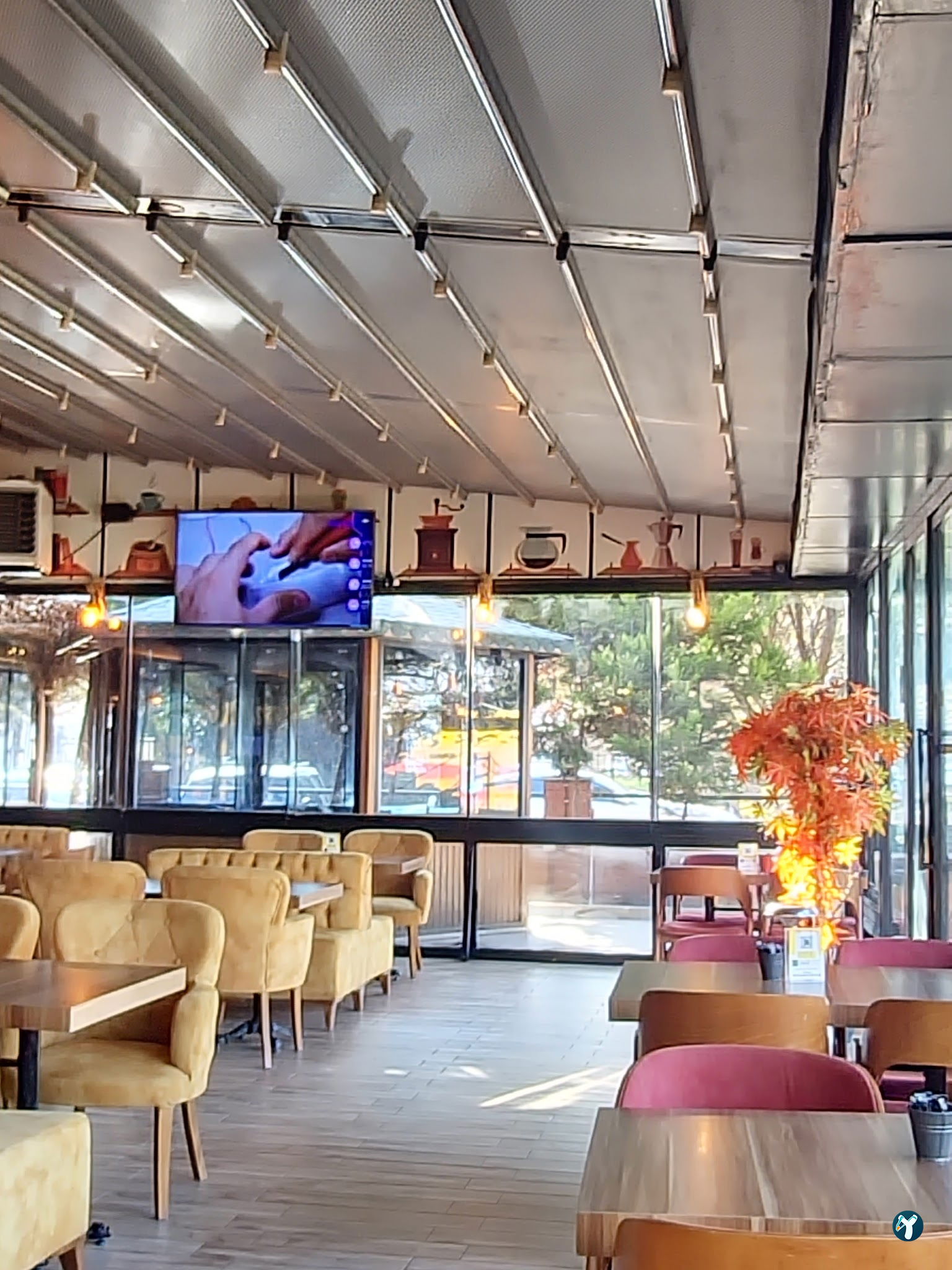 Mimossa Cafe