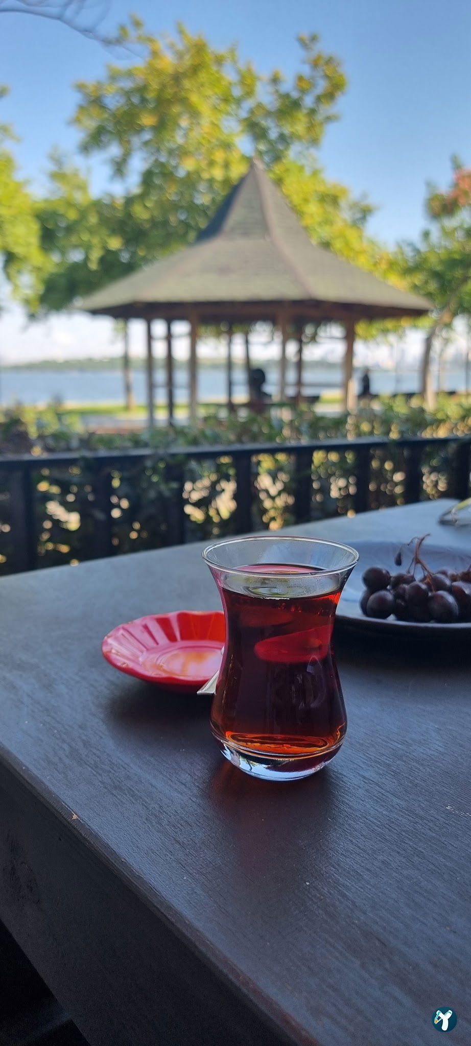 Mimossa Cafe
