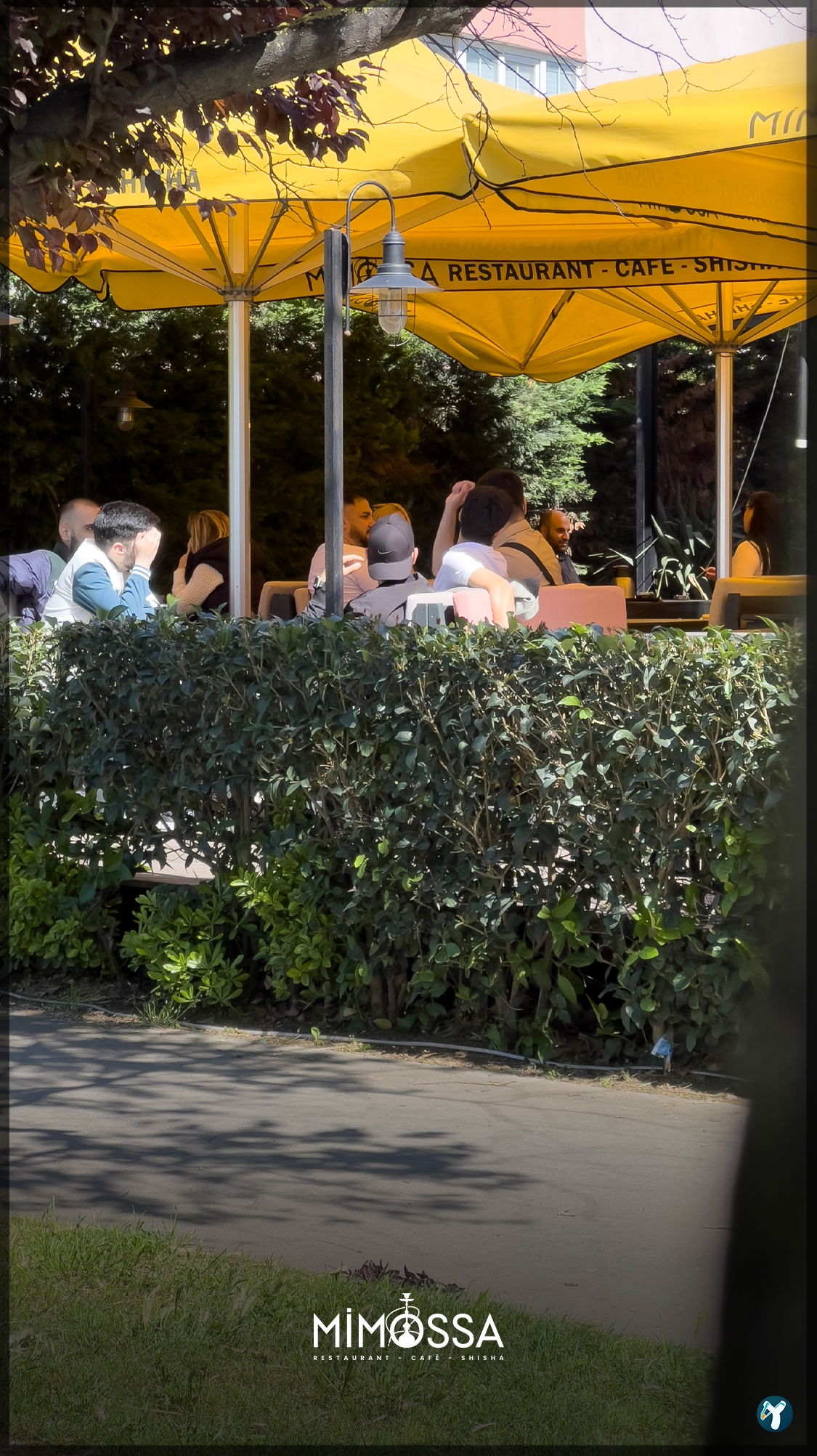 Mimossa Cafe