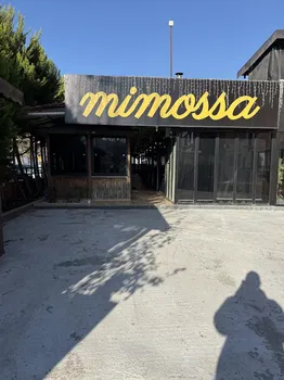 Mimossa Cafe resimleri Mimossa Cafe resimleri