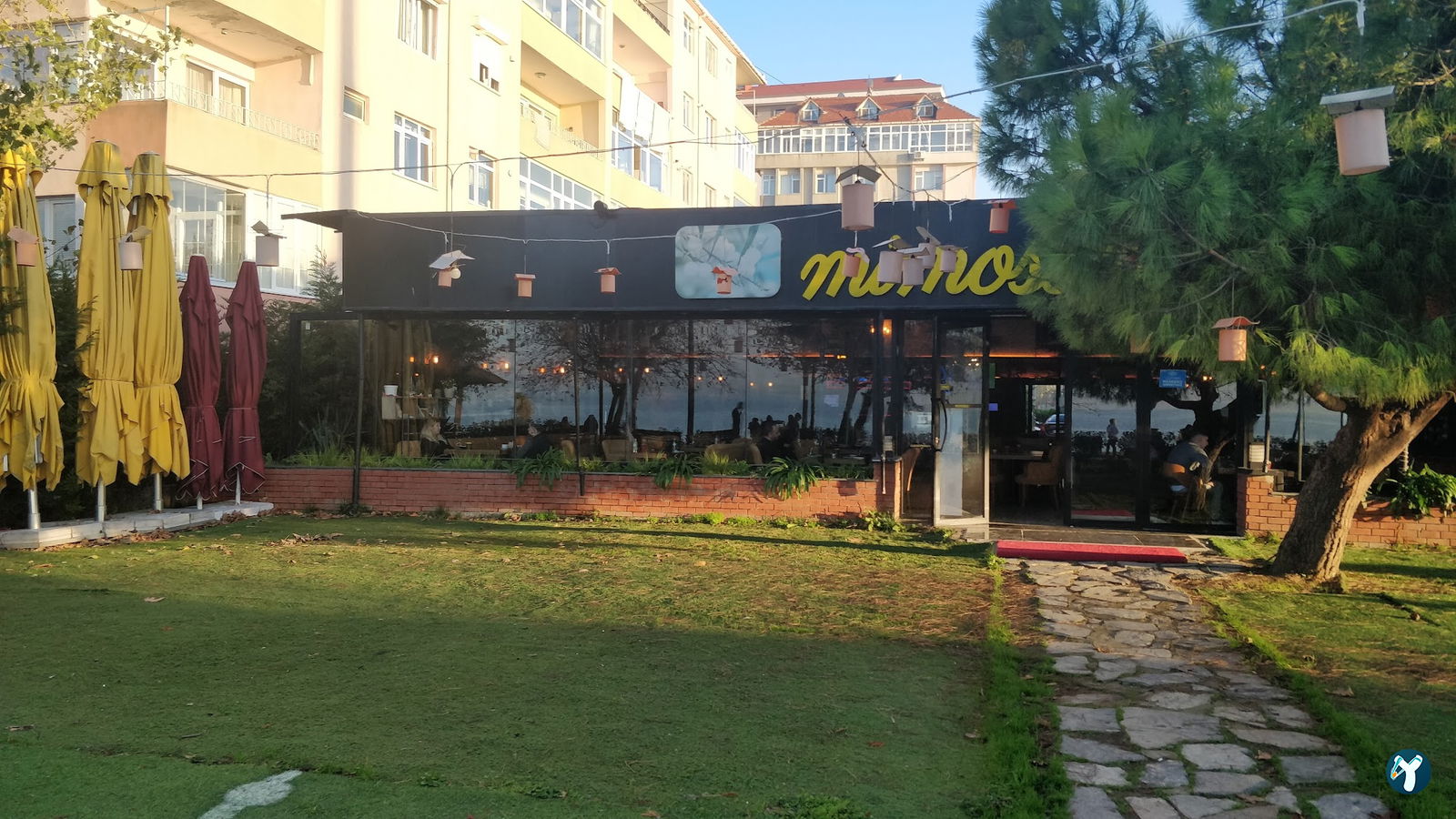 Mimossa Cafe