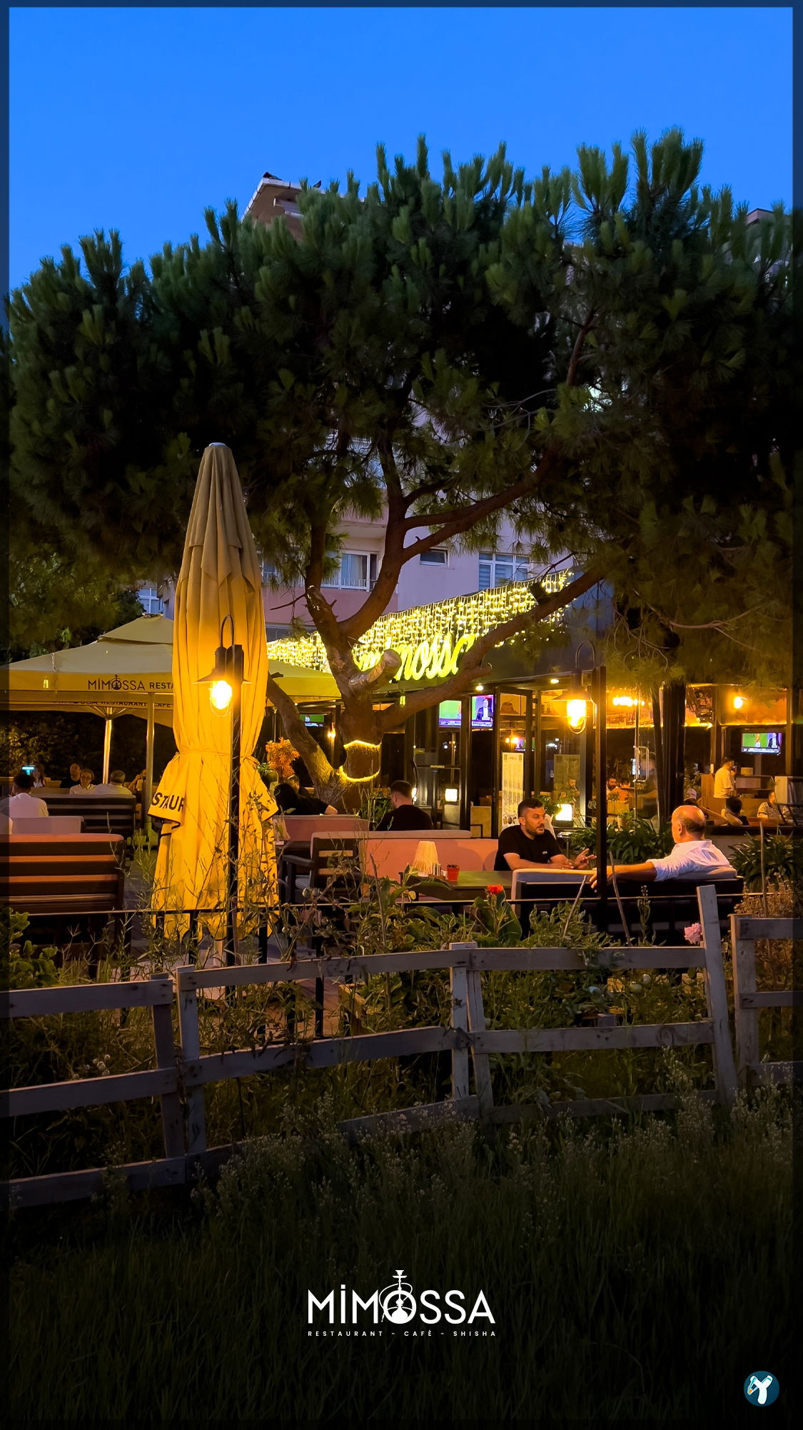 Mimossa Cafe