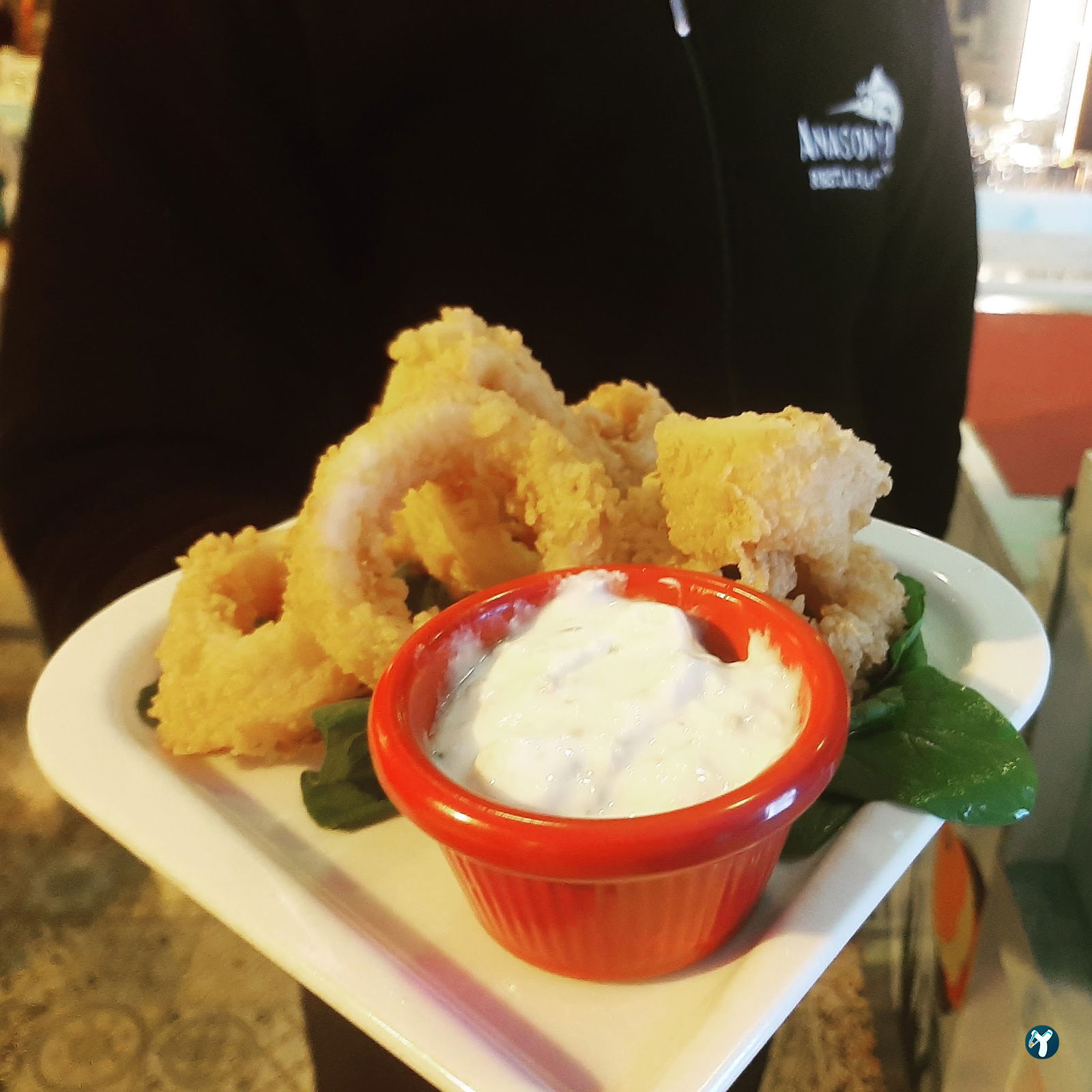 Şile Anasonya Restaurant