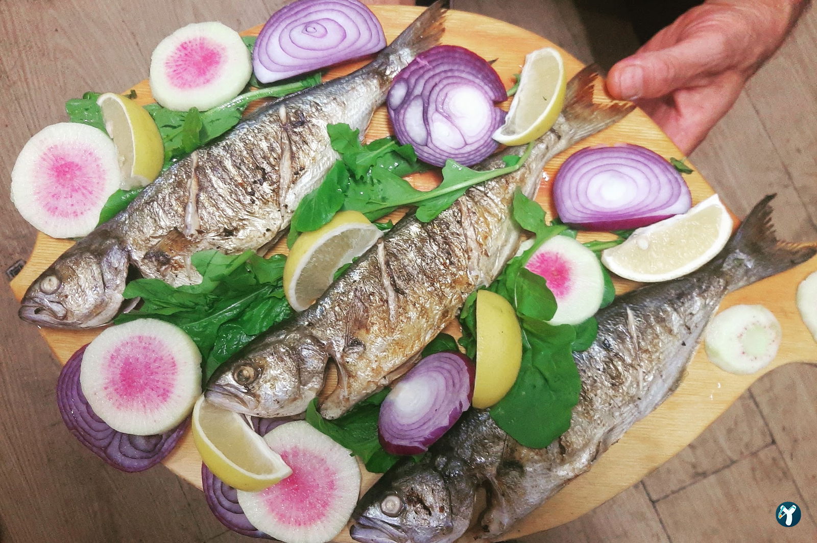 Şile Anasonya Restaurant