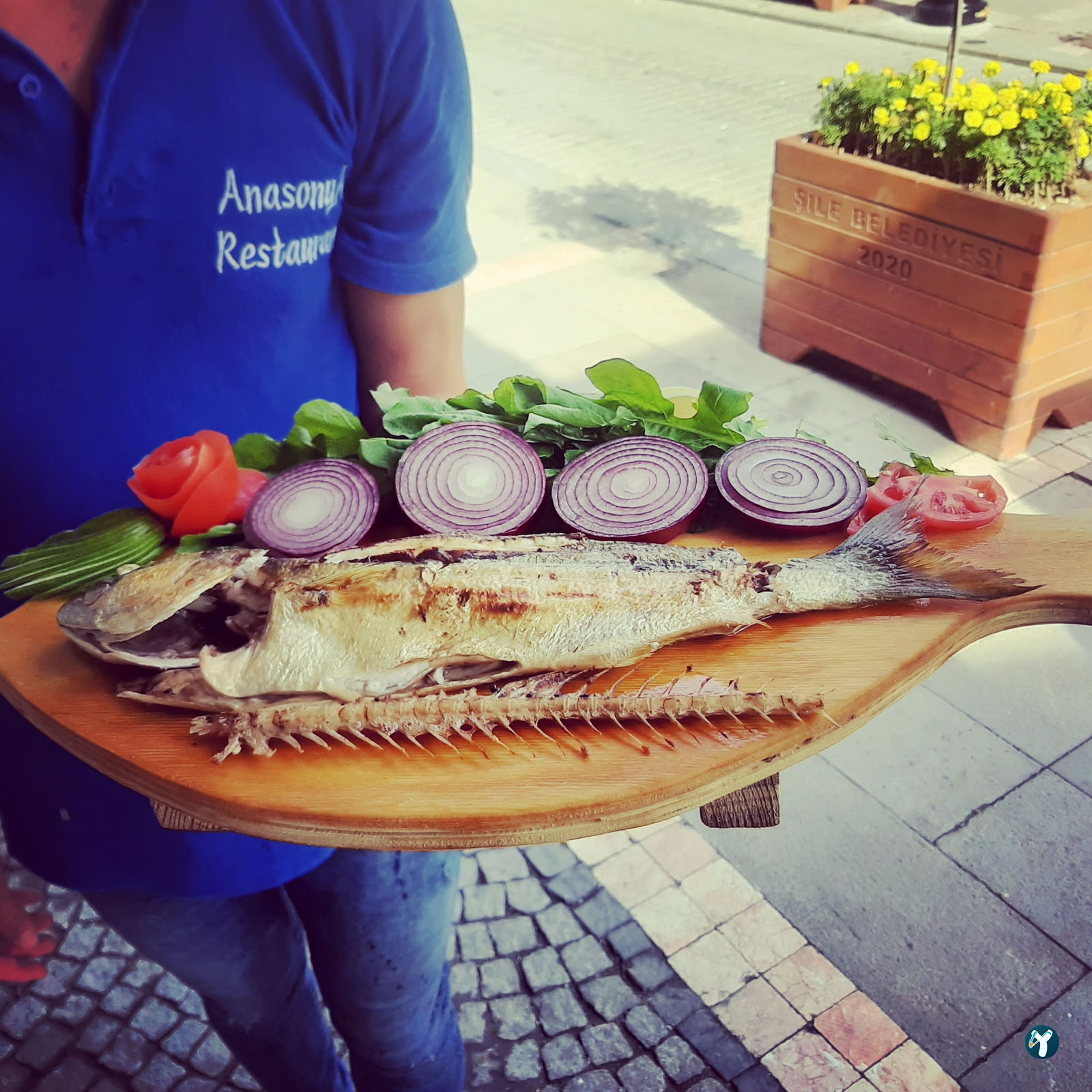 Şile Anasonya Restaurant