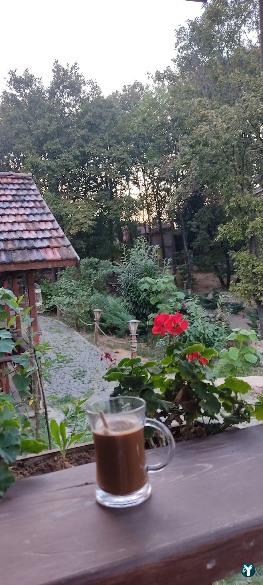 Kuzina