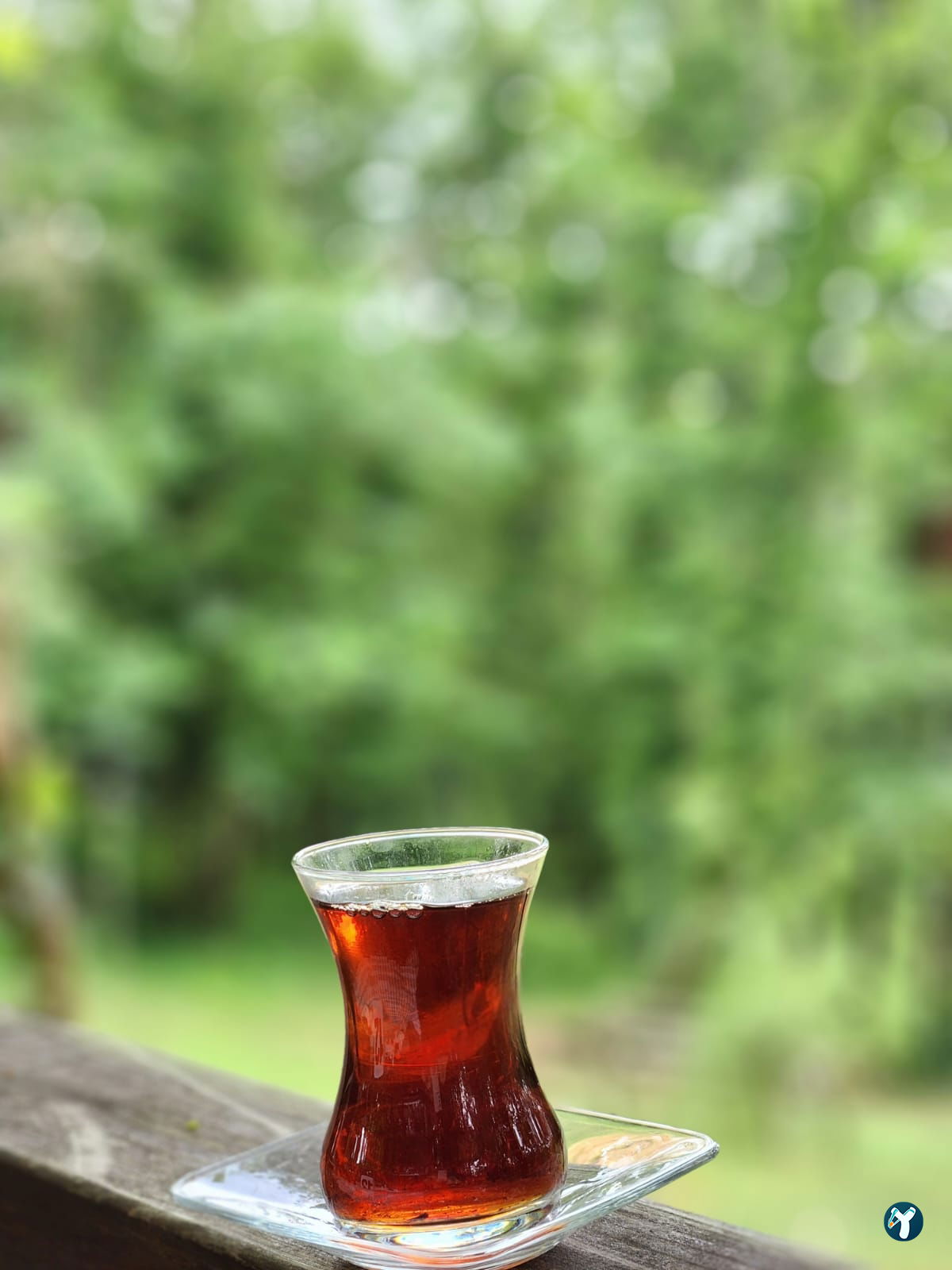Kuzina