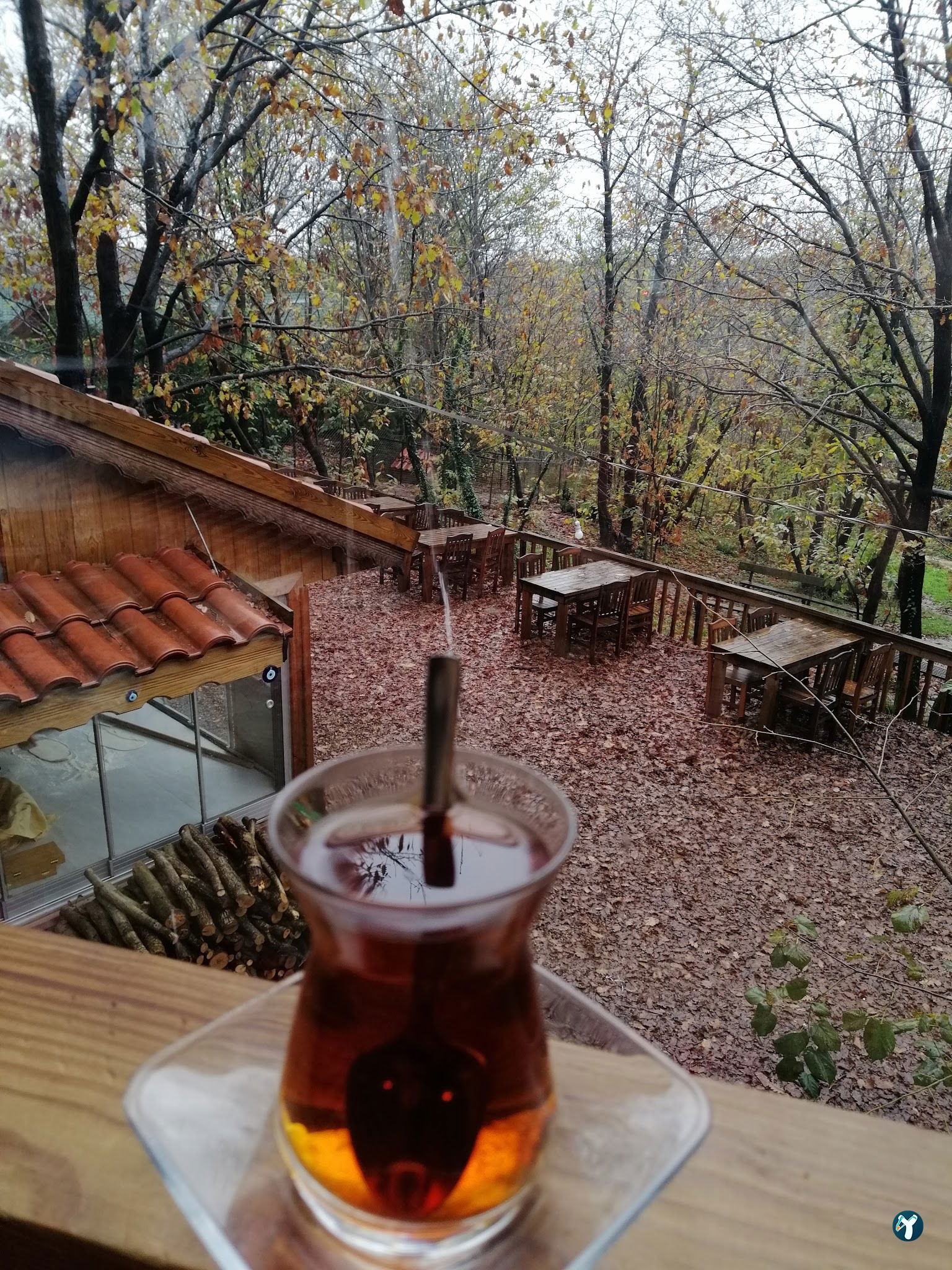 Kuzina