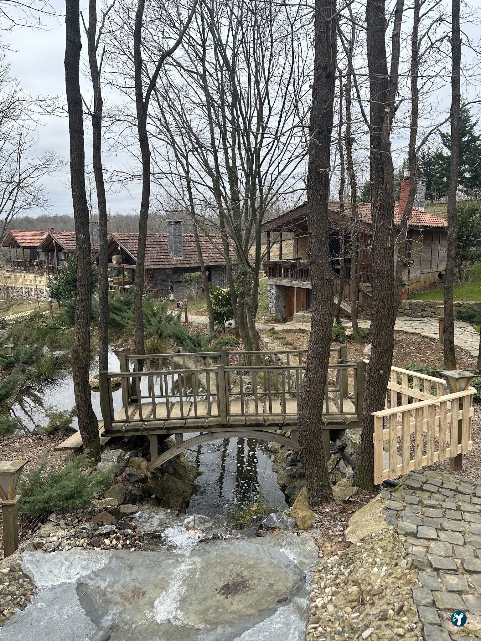 Kuzina