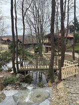 Kuzina