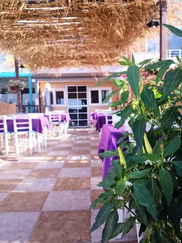 Fulya Restoran resimleri