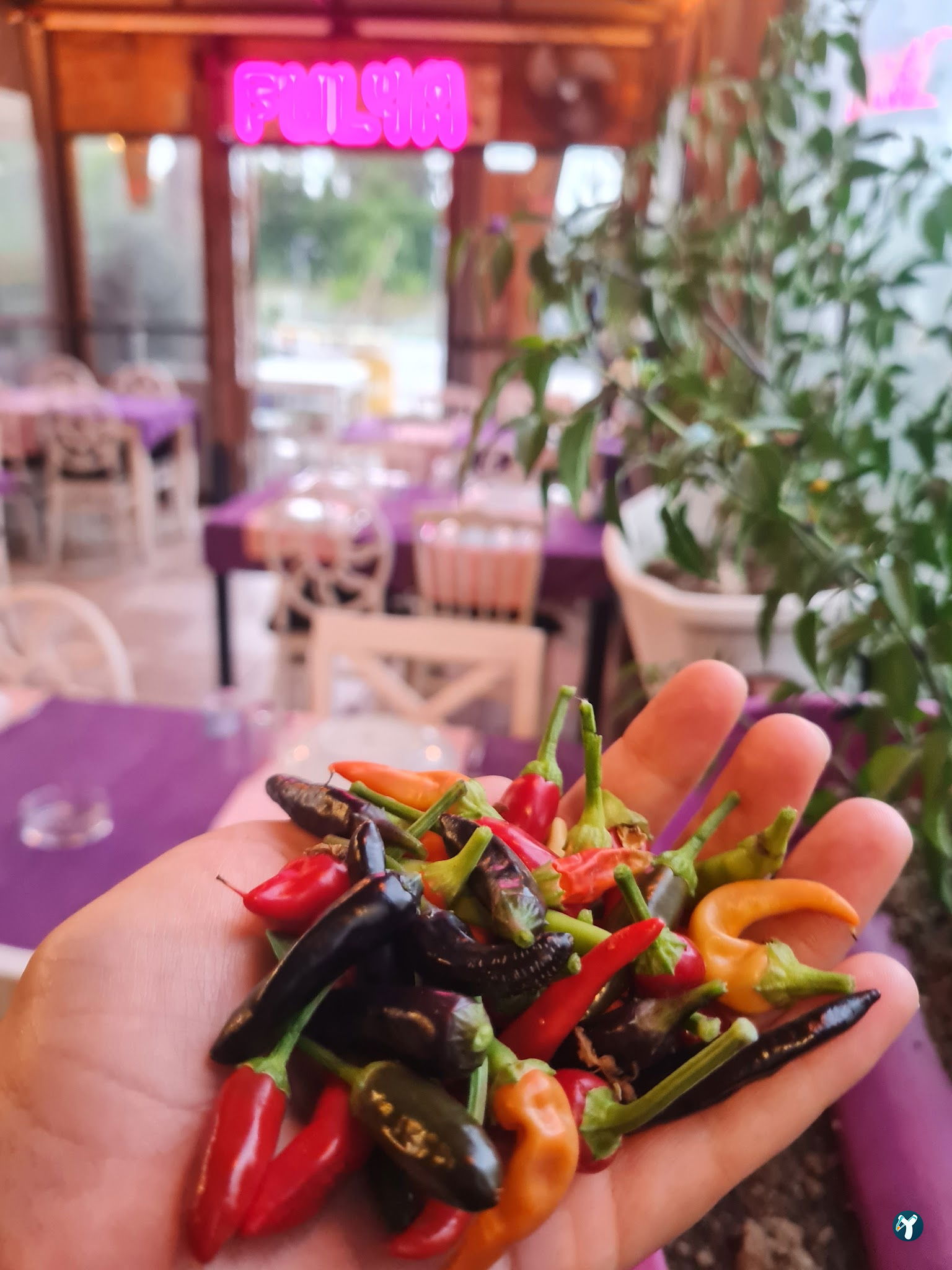 Fulya Restoran
