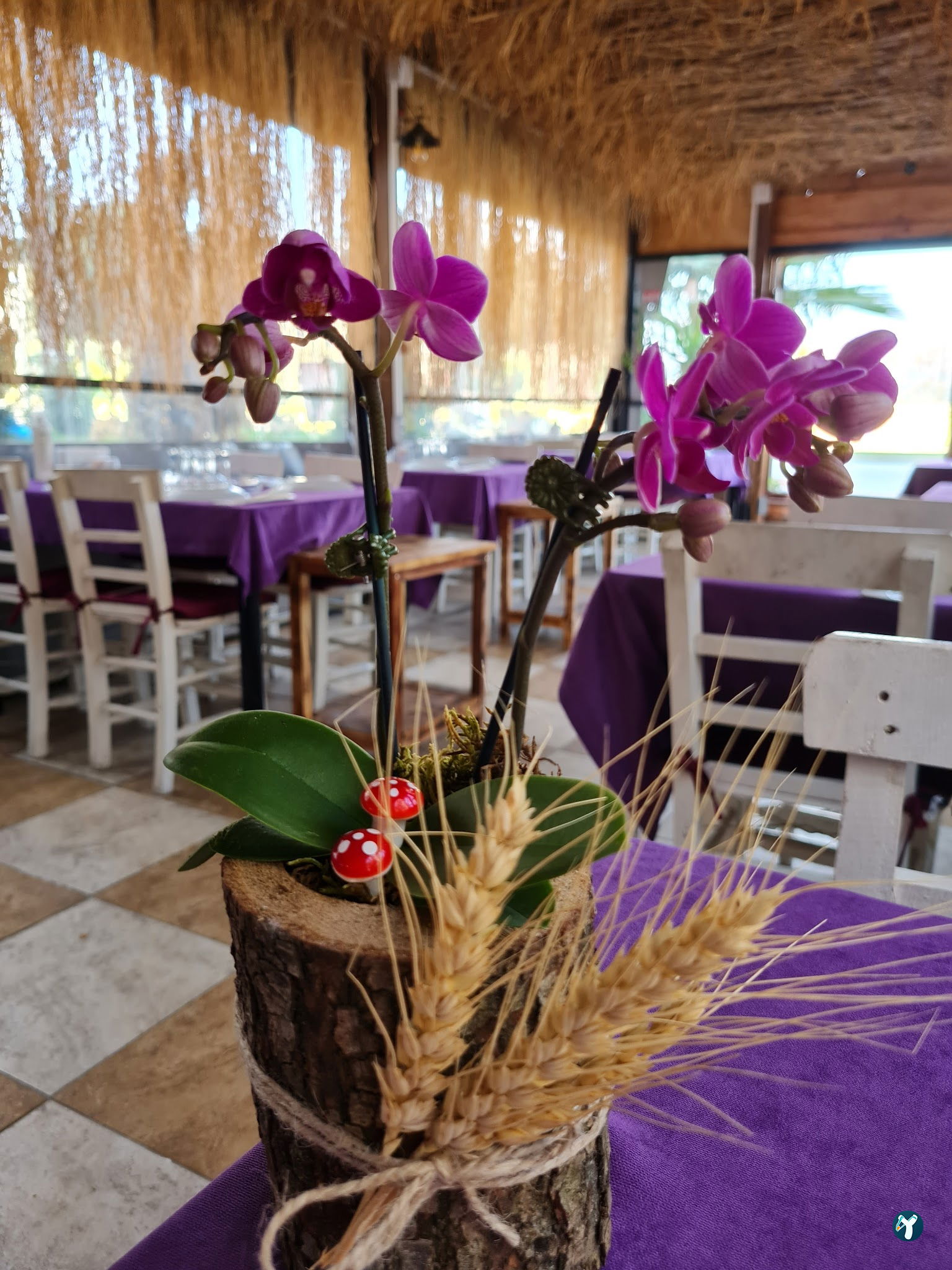 Fulya Restoran