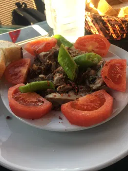 Asiyan Iskembe resimleri