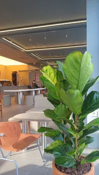 Espressolab Çorum resimleri