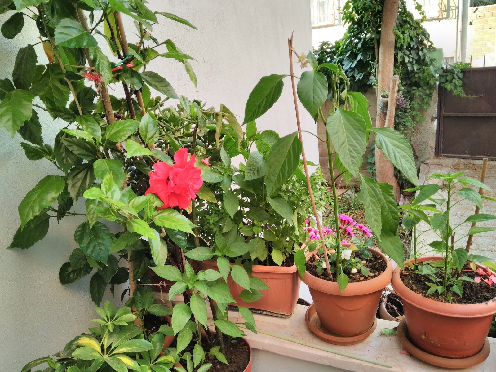 Alamos Et Restaurant & Kır Düğün Salonu