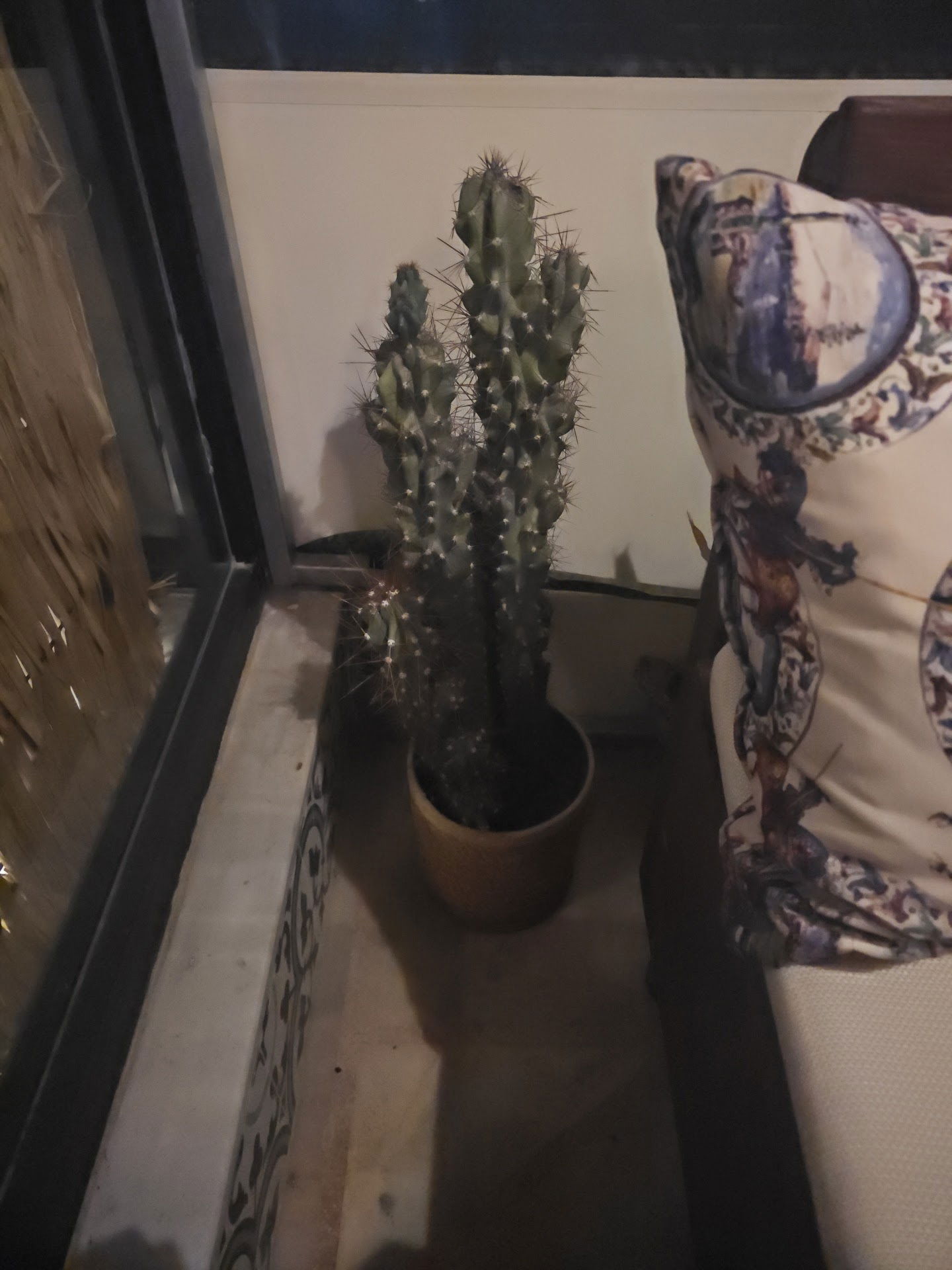 Sssh Coffee & Bakery