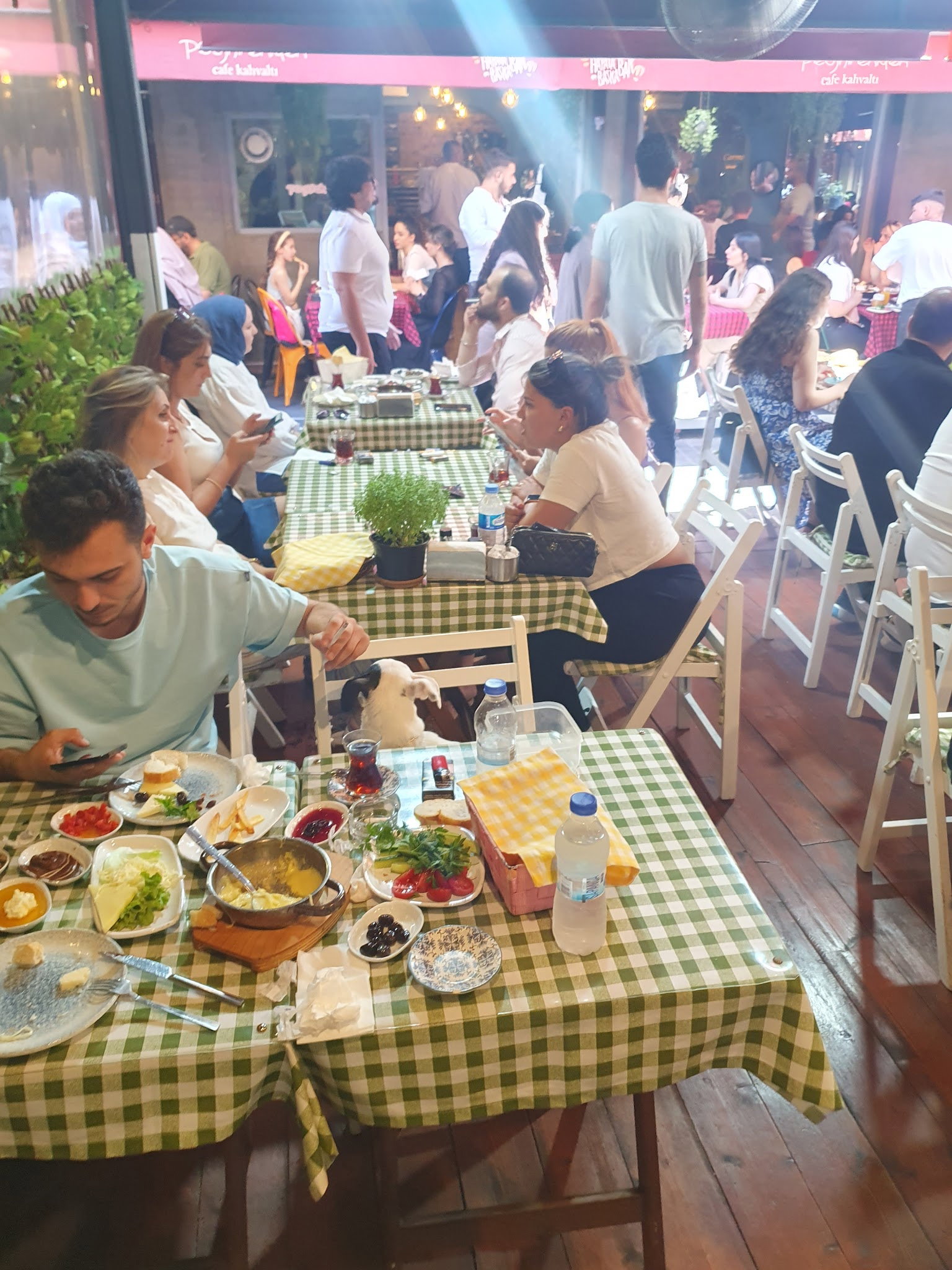 Beşiktaş Zeytindalı Kahvaltı