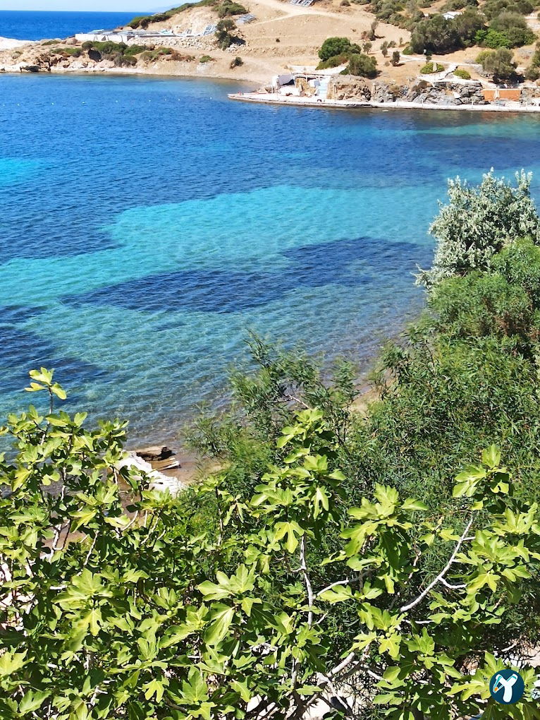 Pollen Beach Foça